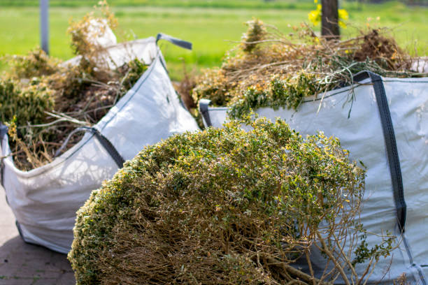 Full-Service Junk Removal in Buffalo, SC